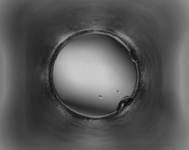 X0000086991264200704161459