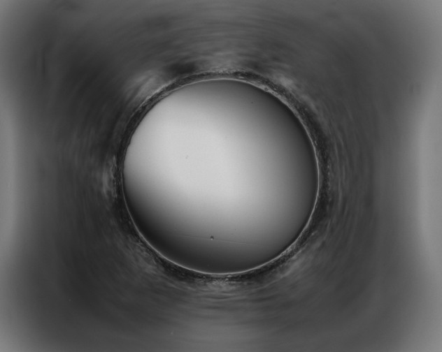 X0000086991265200704161459