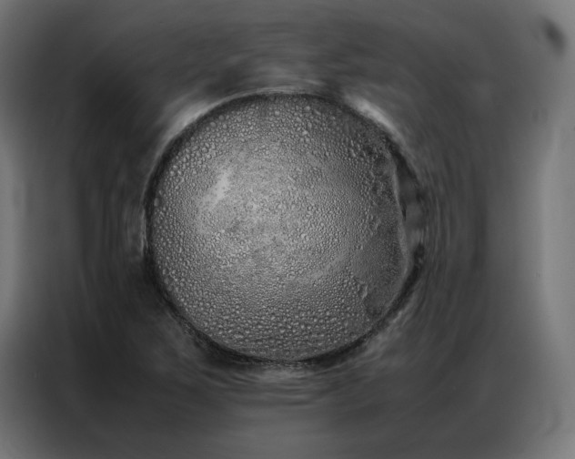 X0000086991267200704161459