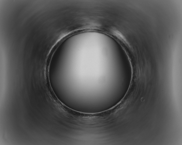 X0000086991268200704161459