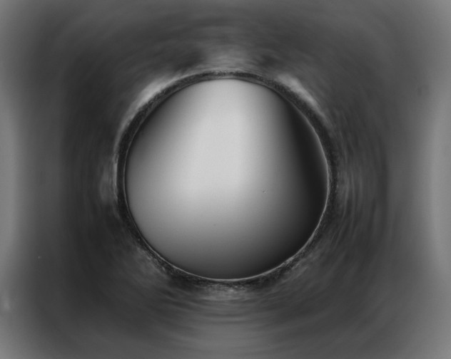 X0000086991270200704161459