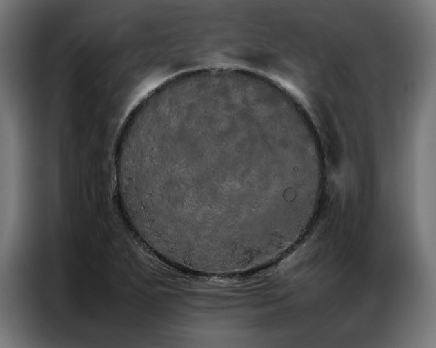 X0000086991271200704161459