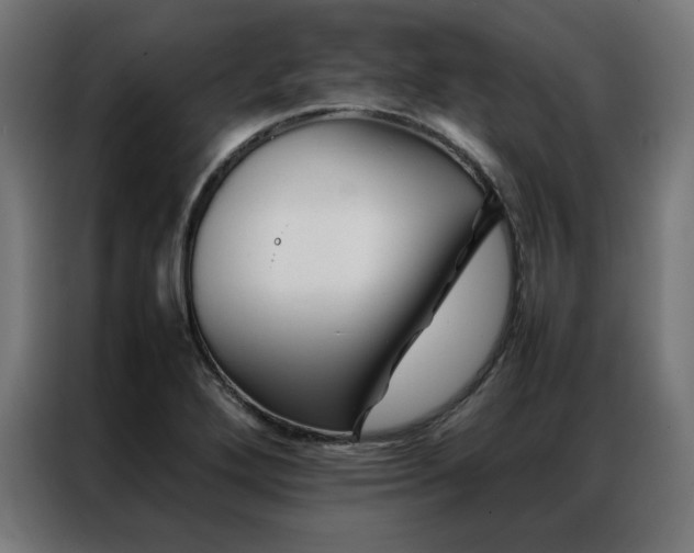X0000086991272200704161459