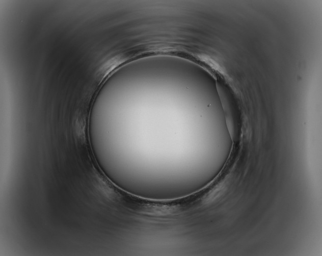 X0000086991273200704161459