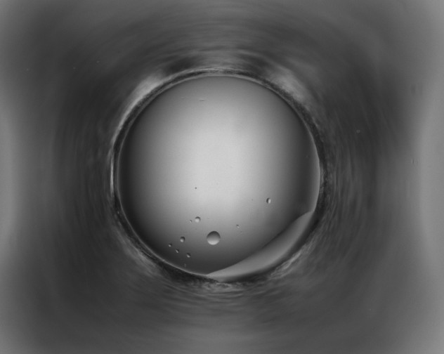 X0000086991275200704161459