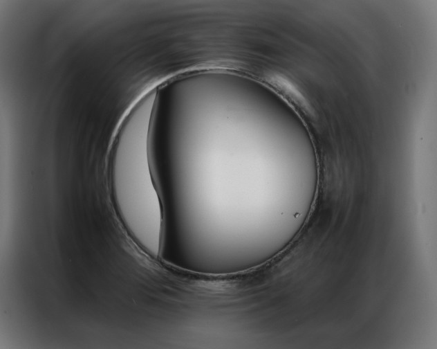 X0000086991276200704161459