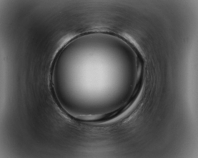 X0000086991277200704161459