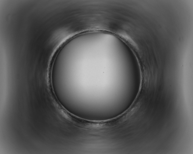 X0000086991278200704161459