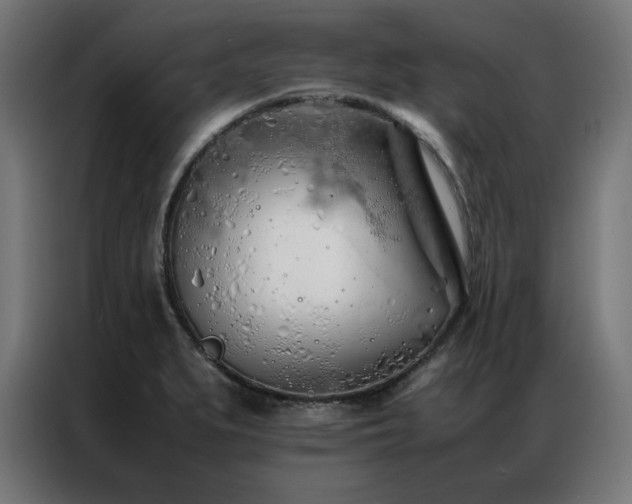 X0000086991279200704161459