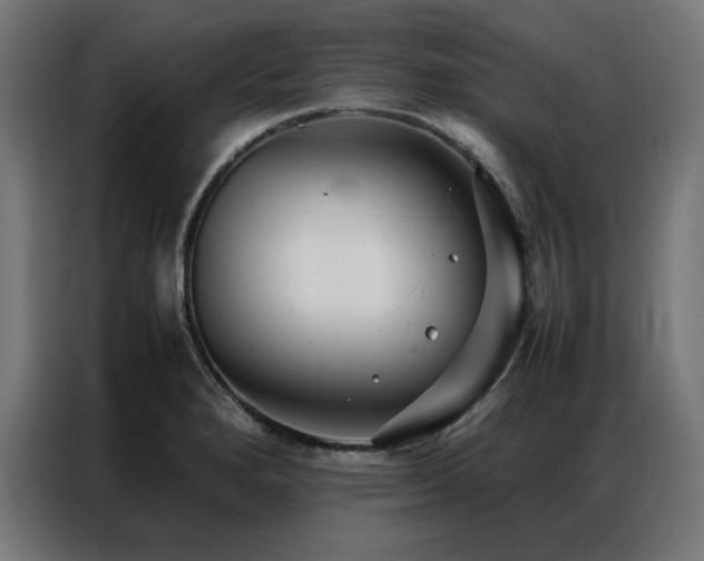 X0000086991280200704161459