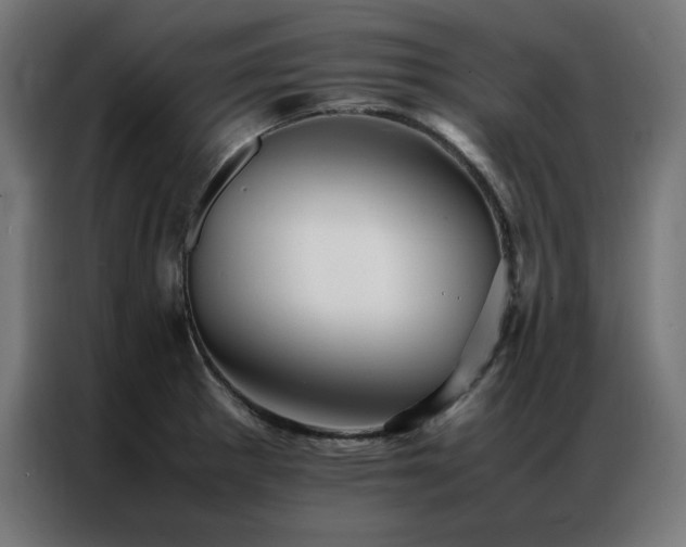 X0000086991281200704161459