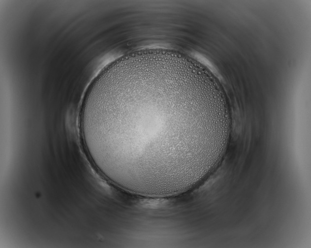 X0000086991282200704161459
