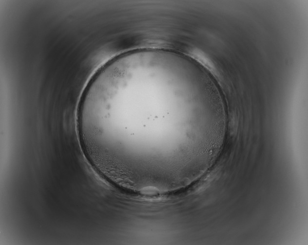 X0000086991283200704161459