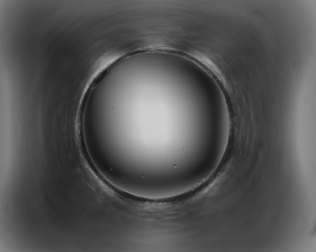 X0000086991285200704161459
