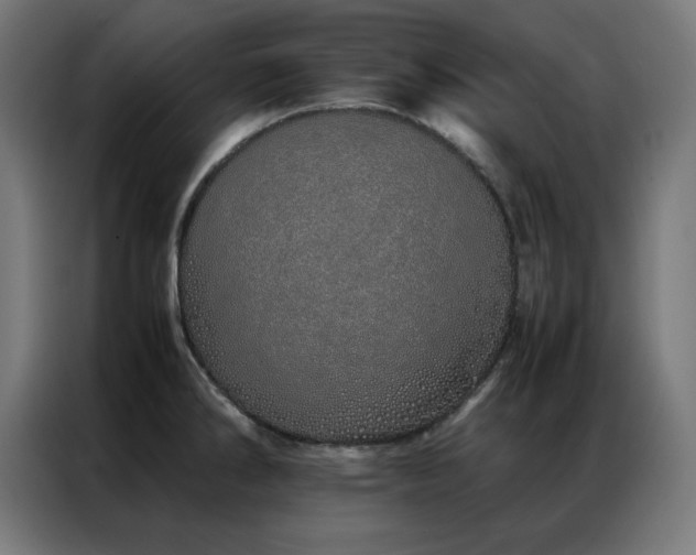 X0000086991286200704161459
