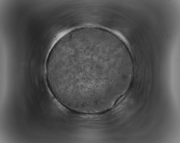 X0000086991287200704161459