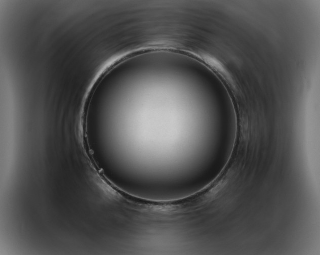 X0000086991288200704161459