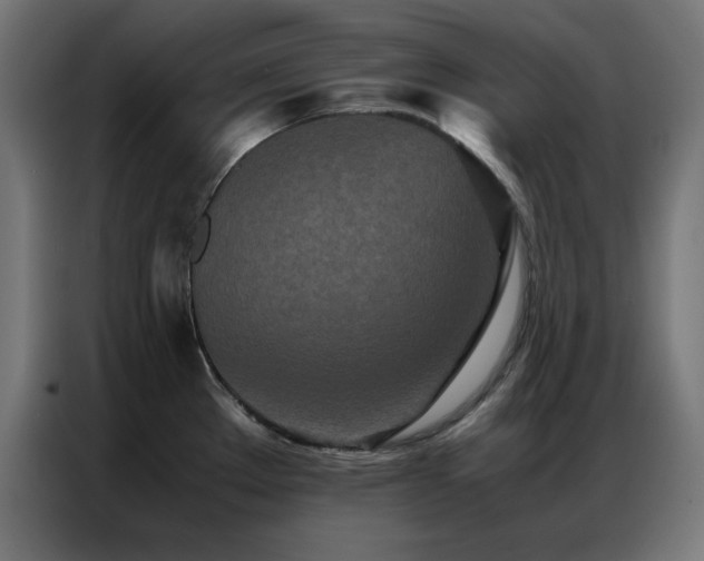 X0000086991289200704161459