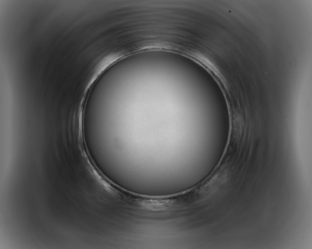 X0000086991290200704161459