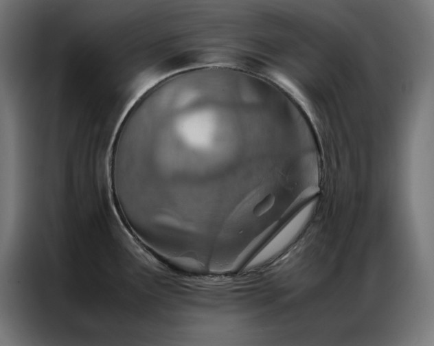 X0000086991291200704161459