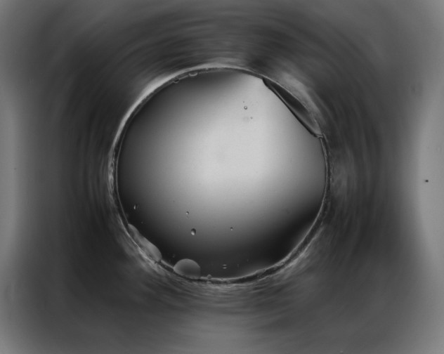 X0000086991292200704161459
