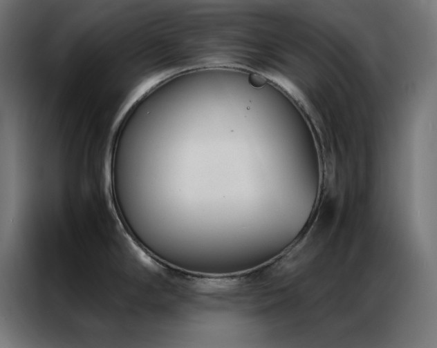 X0000086991294200704161459