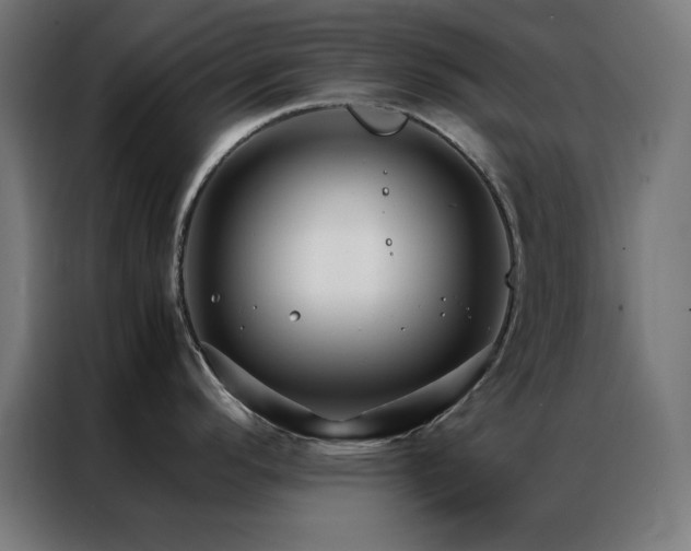 X0000086991296200704161459