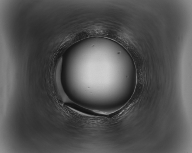 X0000086991297200704161459