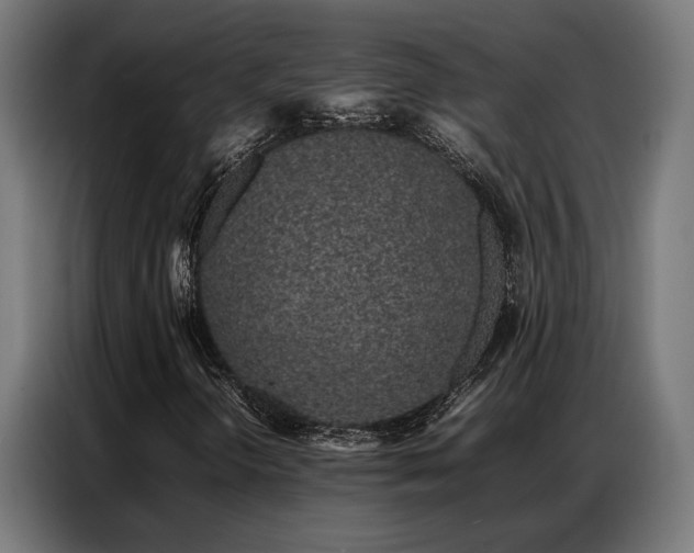 X0000086991298200704161459