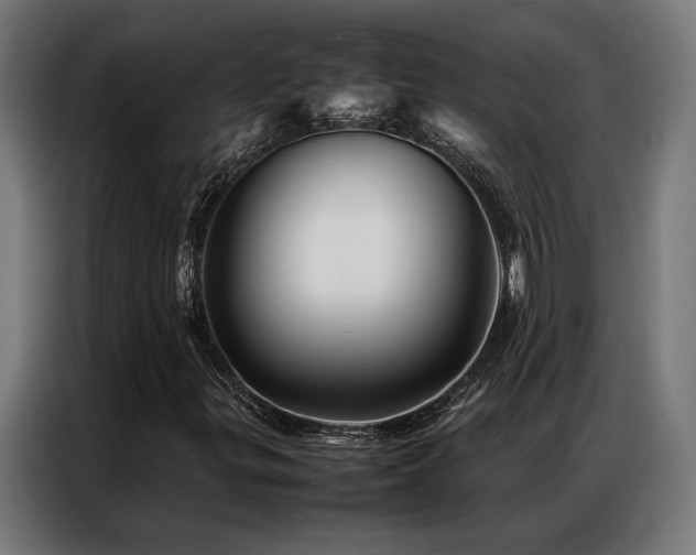 X0000086991299200704161459