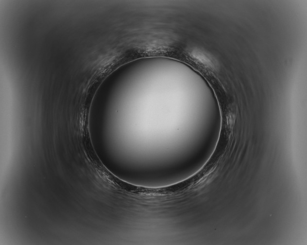X0000086991300200704161459