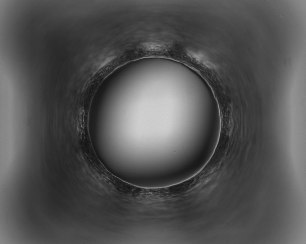 X0000086991301200704161459