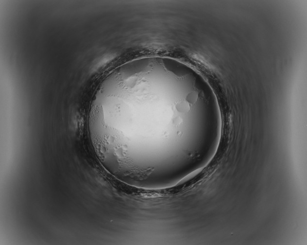 X0000086991302200704161459