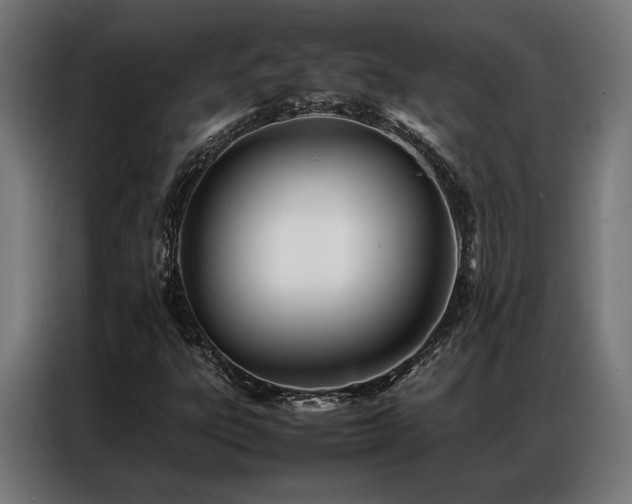 X0000086991303200704161459