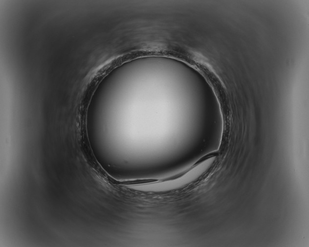 X0000086991304200704161459