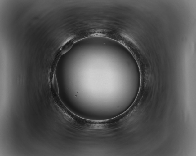X0000086991305200704161459