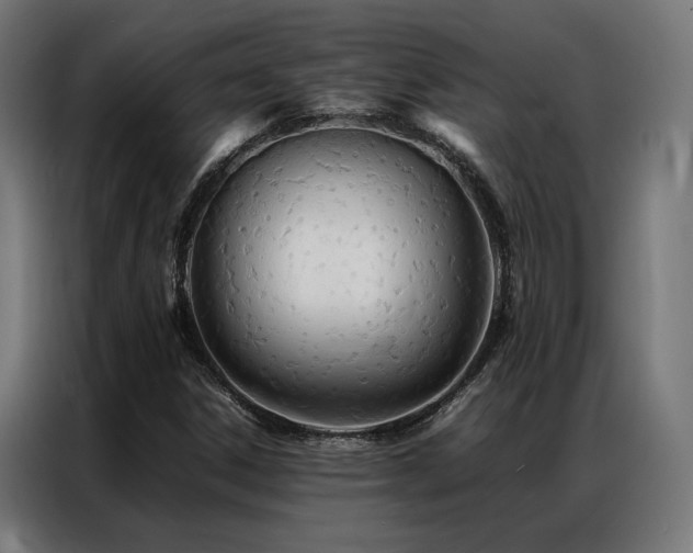 X0000086991306200704161459