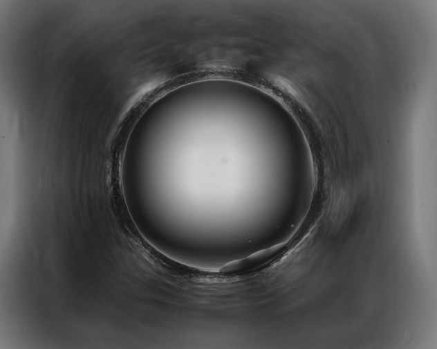 X0000086991307200704161459
