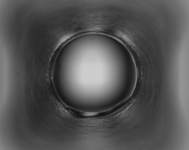 X0000086991308200704161459