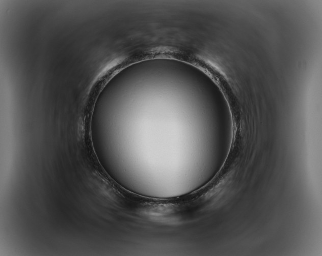 X0000086991309200704161459