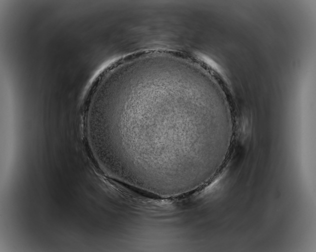 X0000086991310200704161459