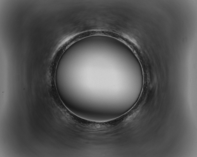 X0000086991311200704161459