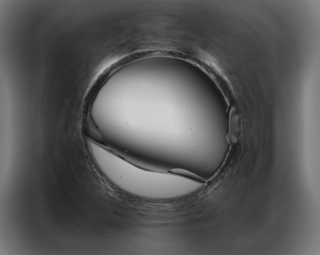 X0000086991312200704161459