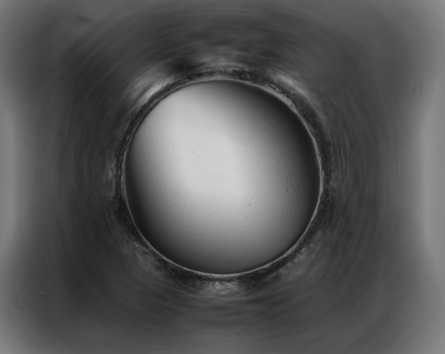 X0000086991313200704161459