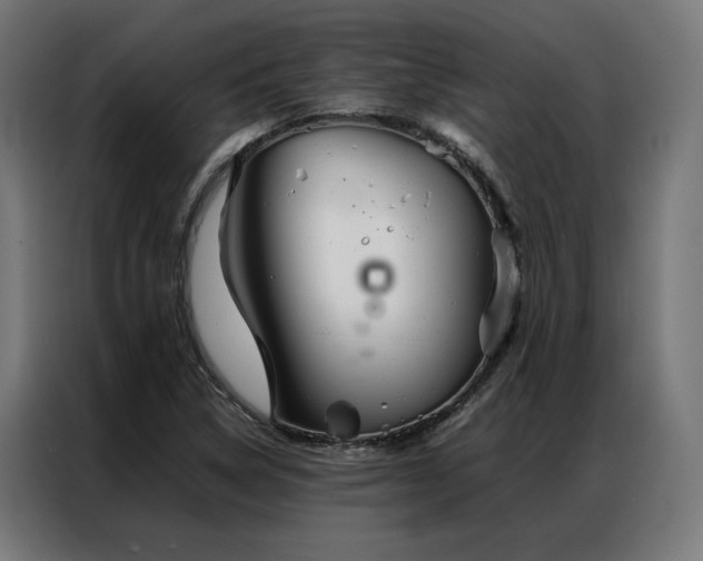 X0000086991314200704161459