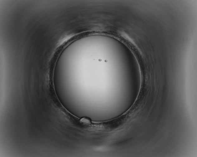 X0000086991315200704161459