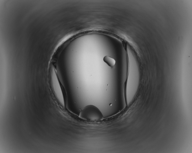 X0000086991316200704161459