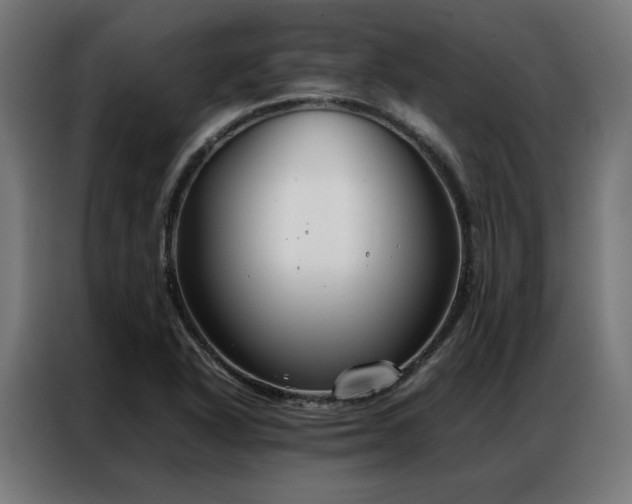 X0000086991318200704161459