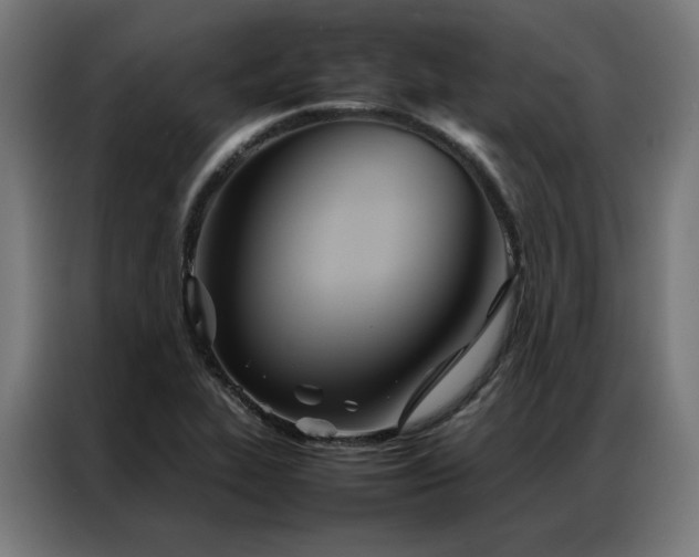 X0000086991319200704161459