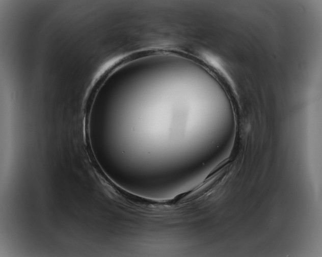X0000086991320200704161459